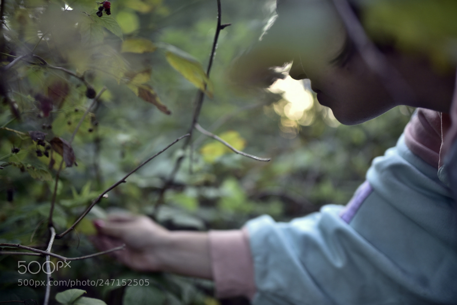 Nikon D750 + Sigma 35mm F1.4 DG HSM Art sample photo. Dsc photography