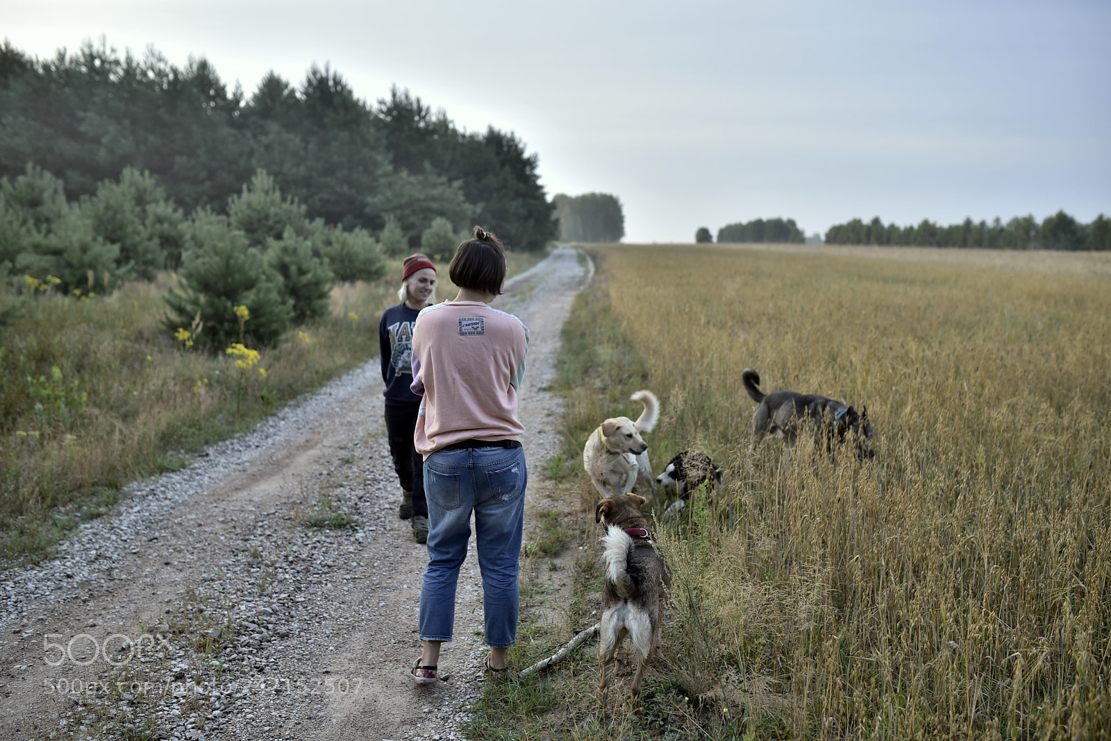 Nikon D750 + Sigma 35mm F1.4 DG HSM Art sample photo. Dsc photography