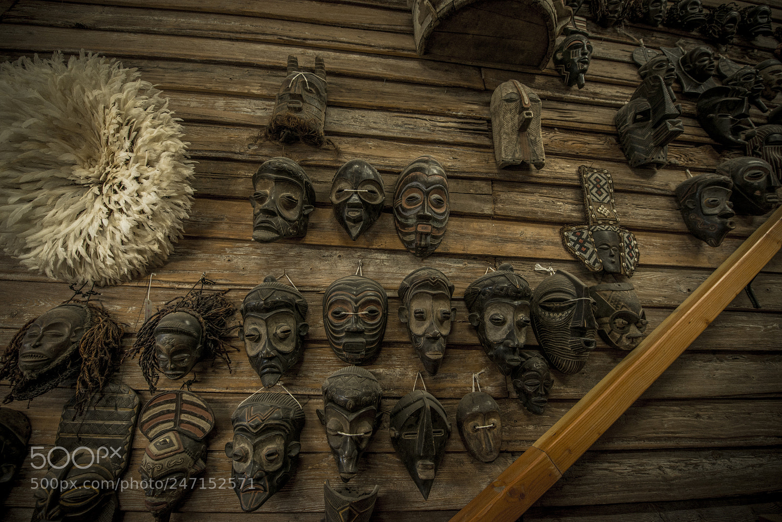 Nikon D800 sample photo. Random shots photography