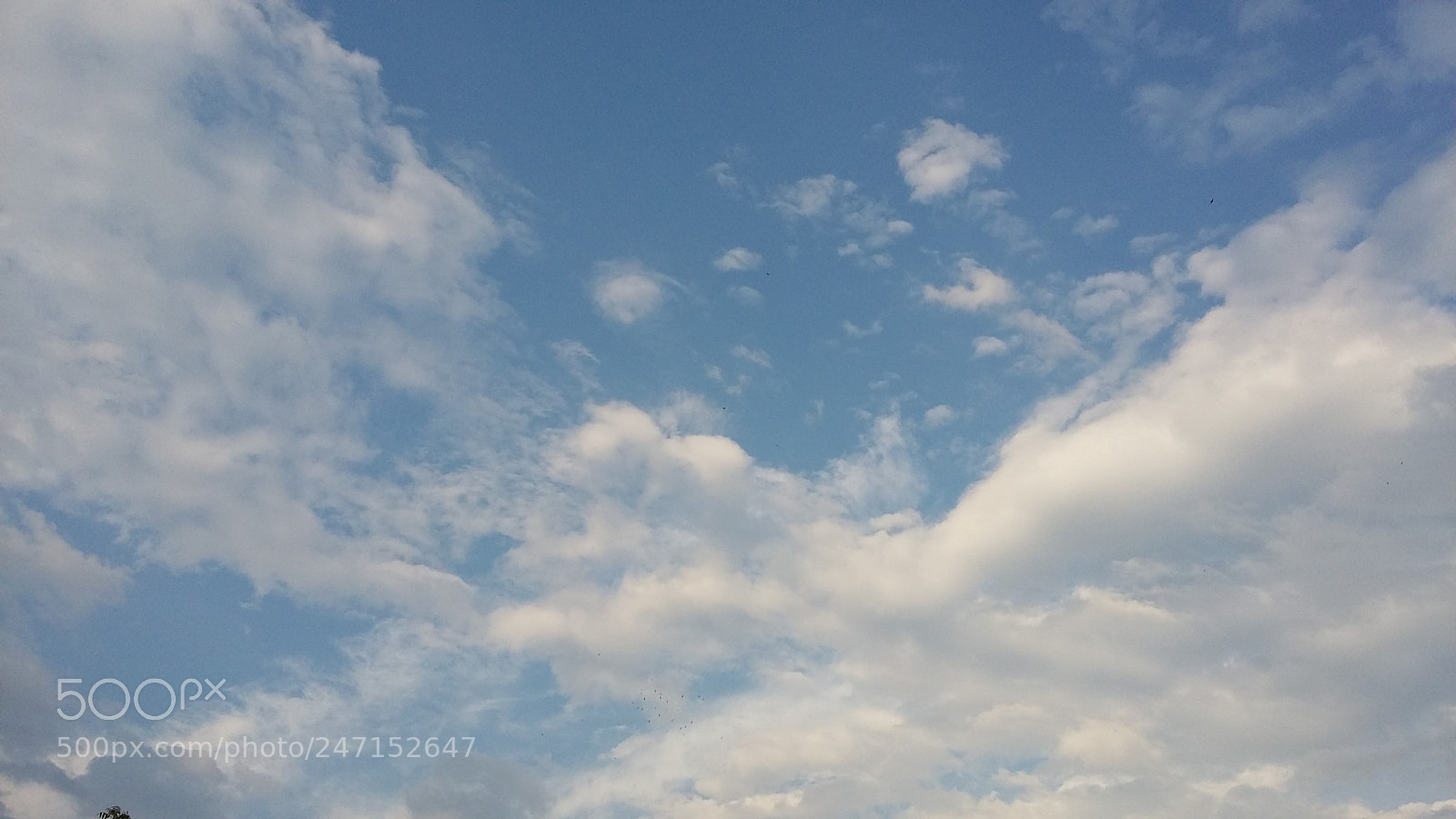 Samsung Galaxy A3 sample photo. 20160525_191653.jpg photography