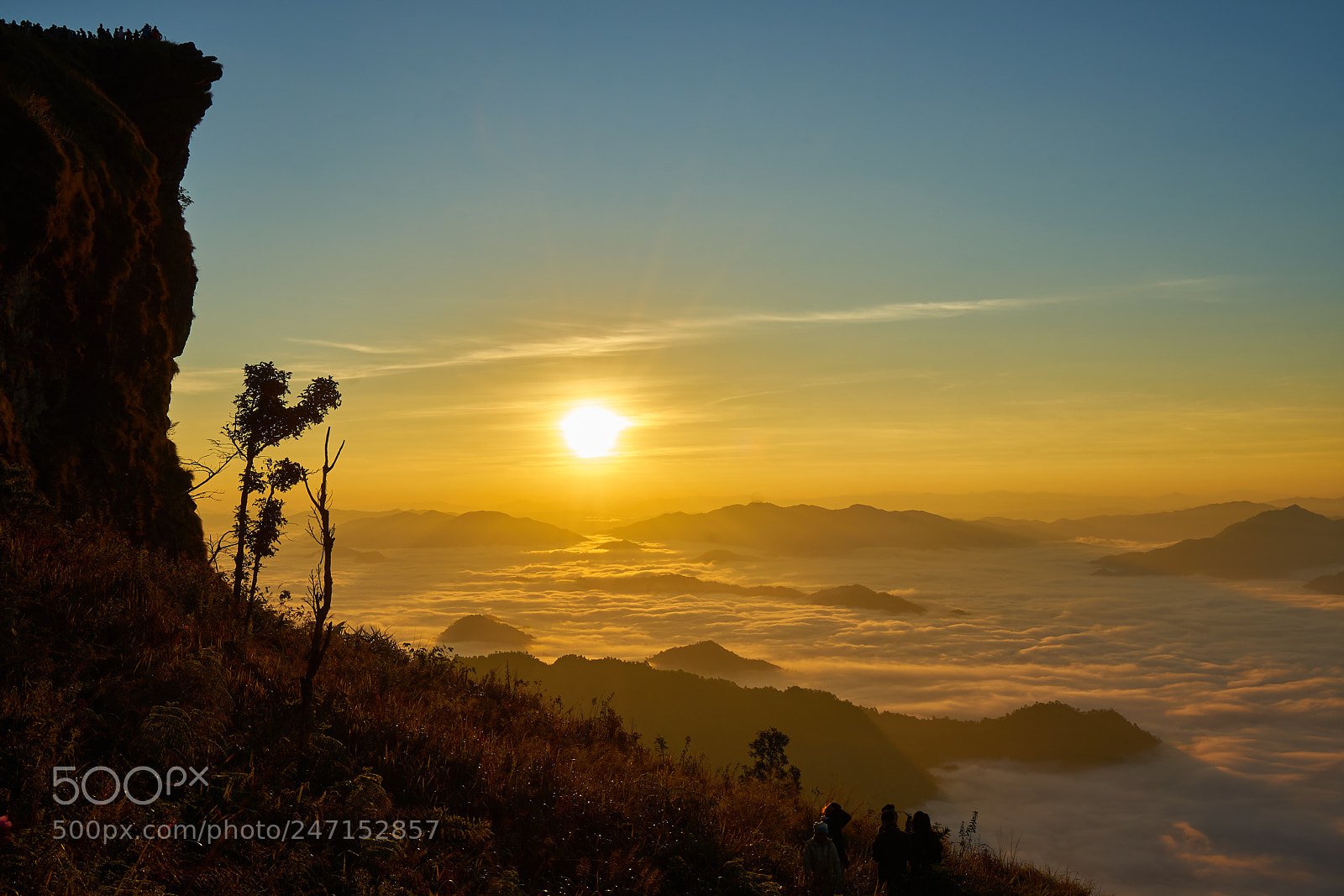Sony a7 II sample photo. Dsc photography