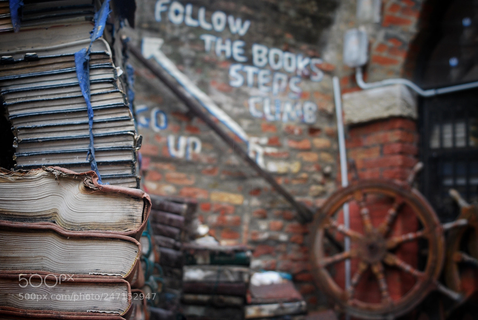 Nikon D60 sample photo. Follow the books photography