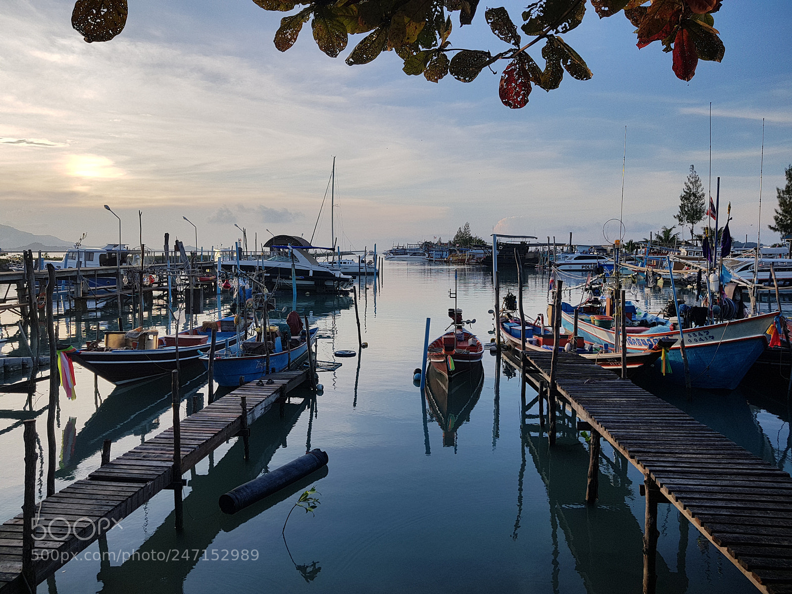Samsung Galaxy S8+ sample photo. January in asia thailand photography