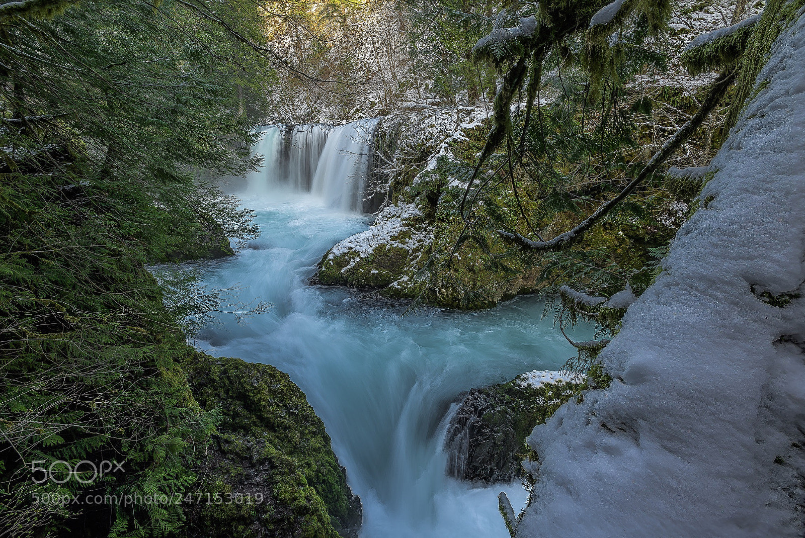 Nikon D810 sample photo. Spirit falls and snow photography