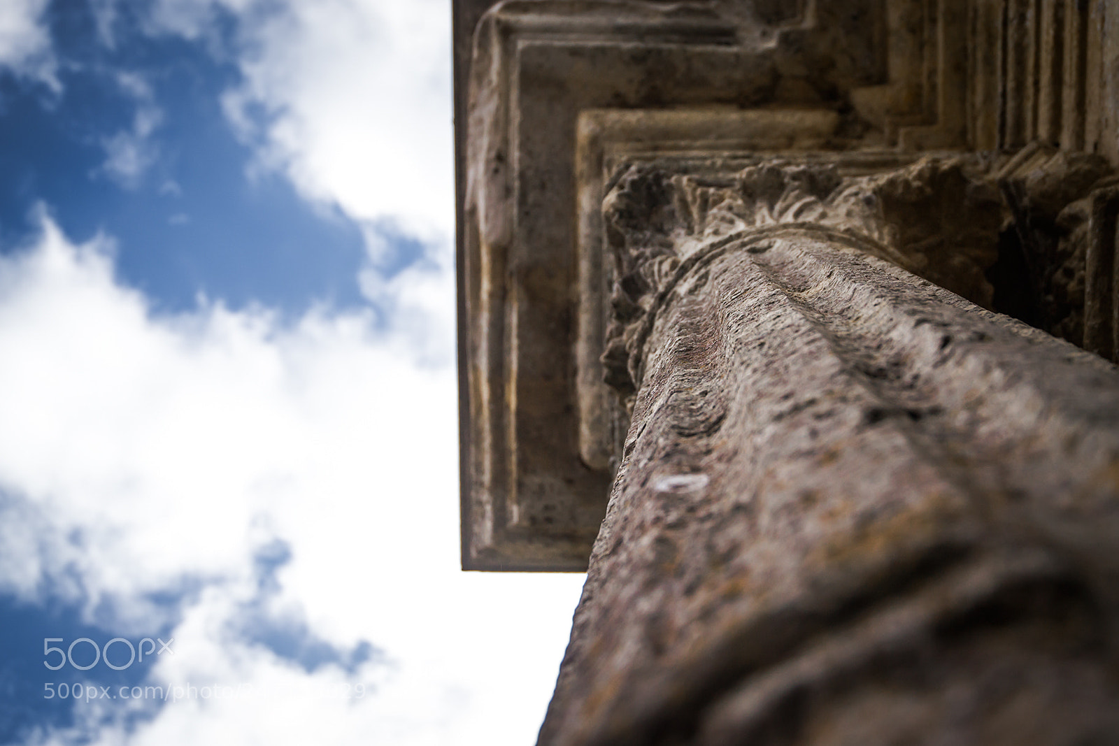 Nikon D3100 sample photo. Art rise up to photography