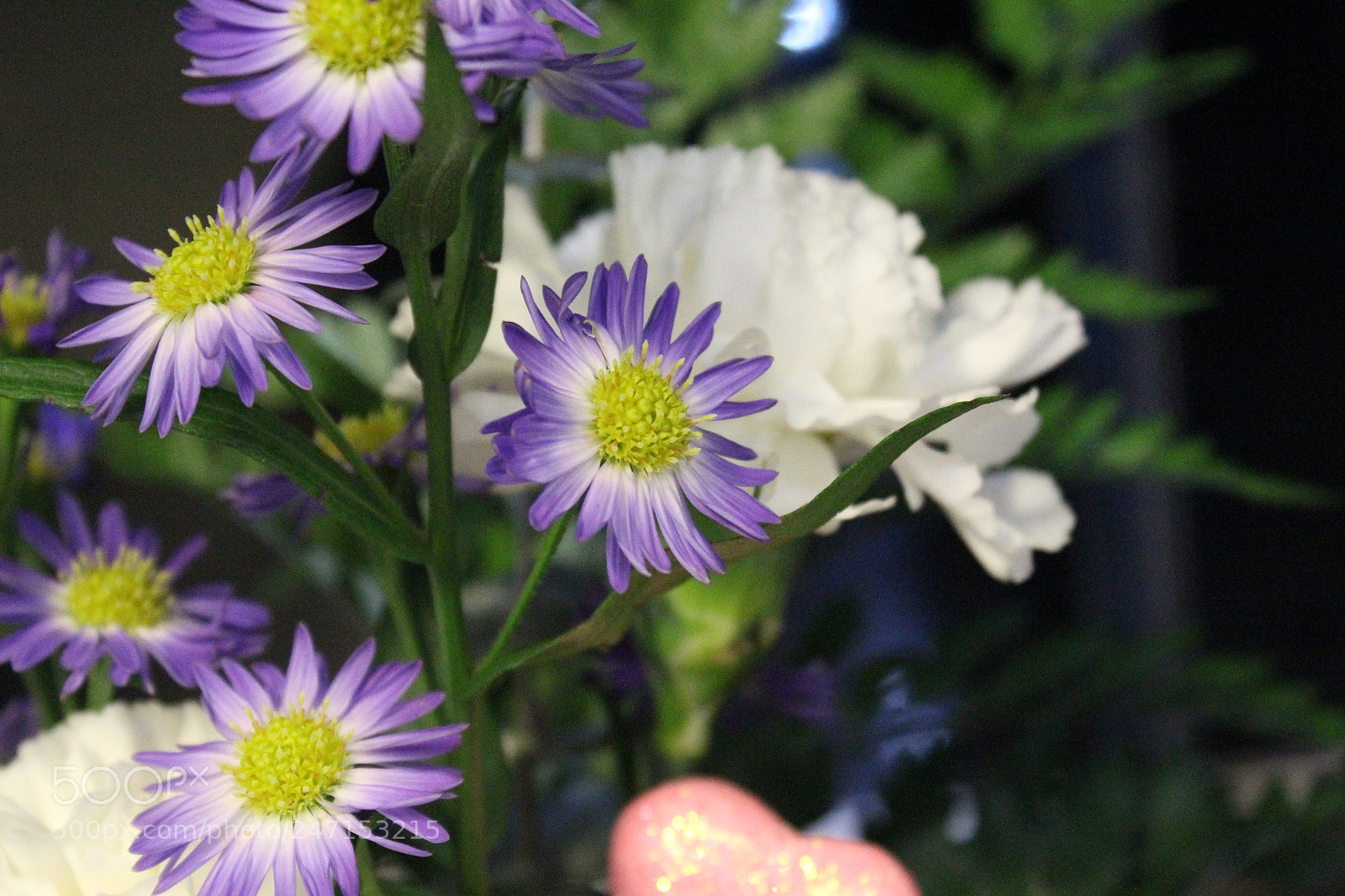 Canon EOS 1200D (EOS Rebel T5 / EOS Kiss X70 / EOS Hi) sample photo. Selective focus photography