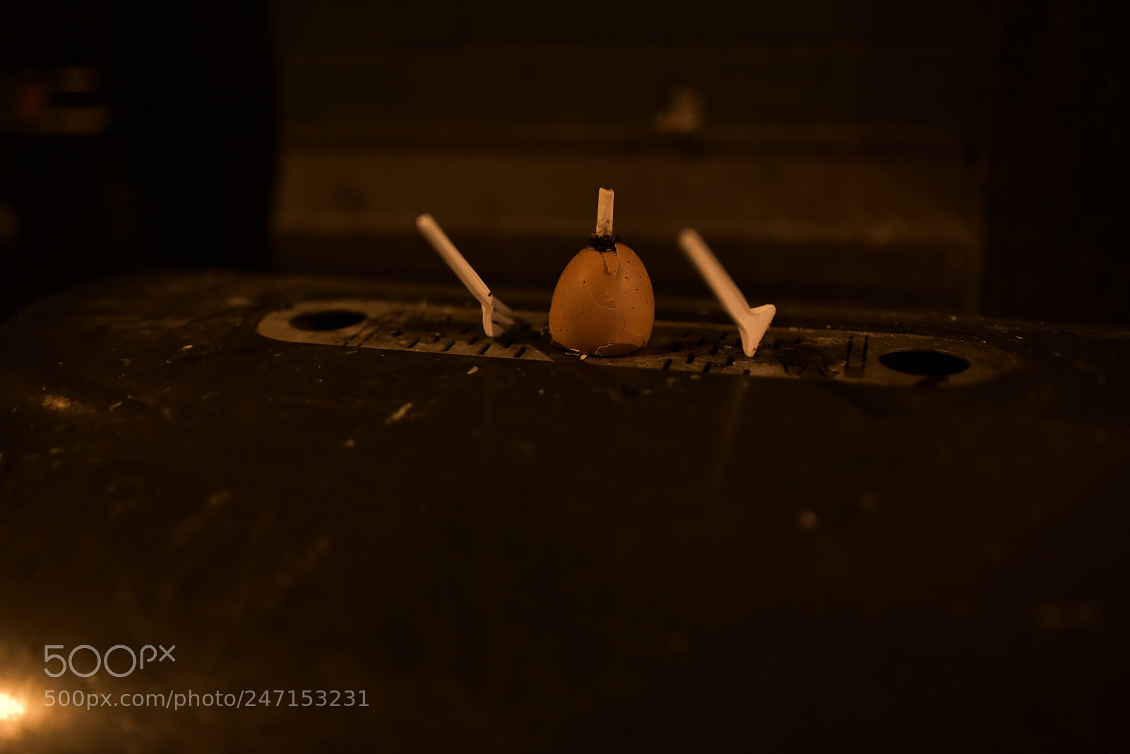 Nikon D750 + Sigma 35mm F1.4 DG HSM Art sample photo. Dsc photography