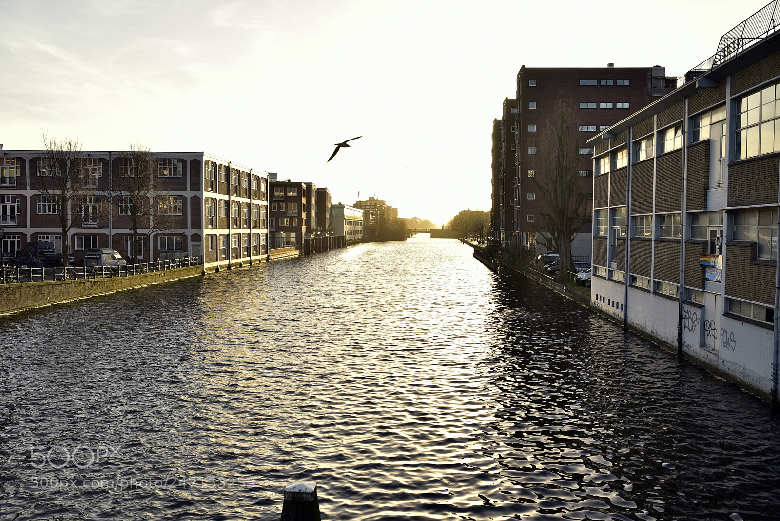 Nikon D750 + Sigma 35mm F1.4 DG HSM Art sample photo. Dsc photography
