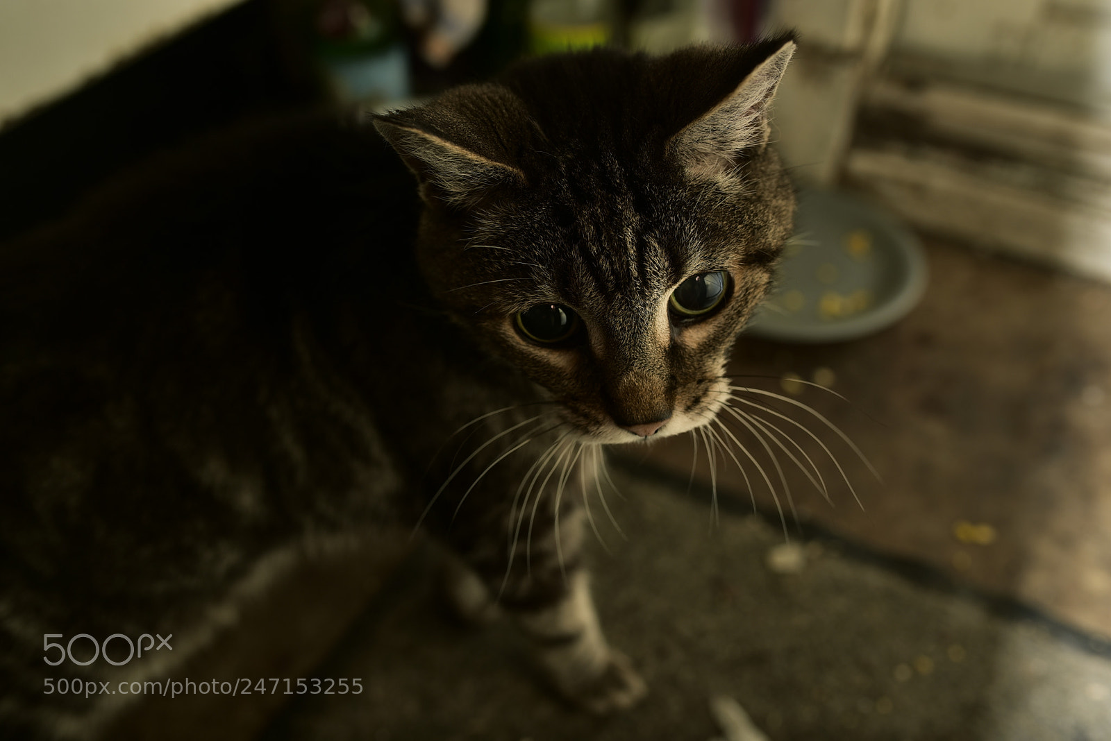 Nikon D750 + Sigma 35mm F1.4 DG HSM Art sample photo. Dsc photography