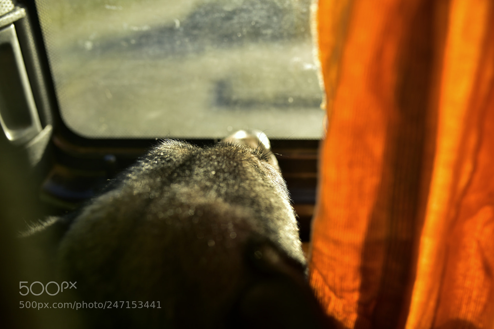 Nikon D750 + Sigma 35mm F1.4 DG HSM Art sample photo. Dsc photography