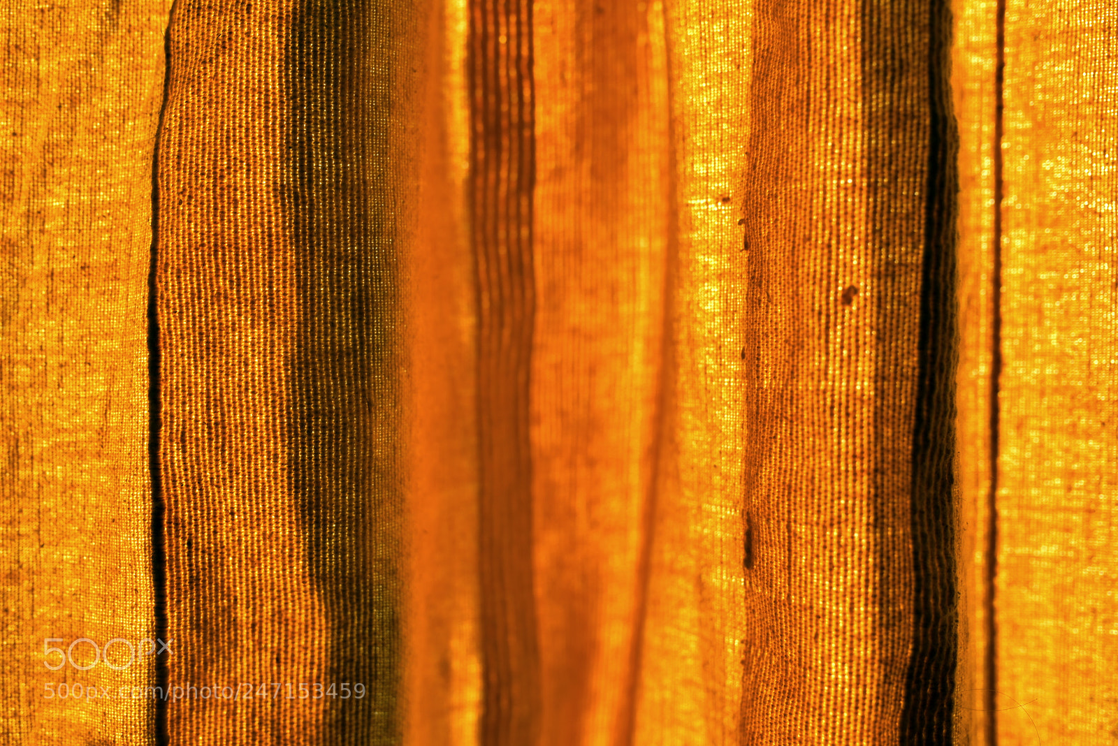 Nikon D750 + Sigma 35mm F1.4 DG HSM Art sample photo. Dsc photography