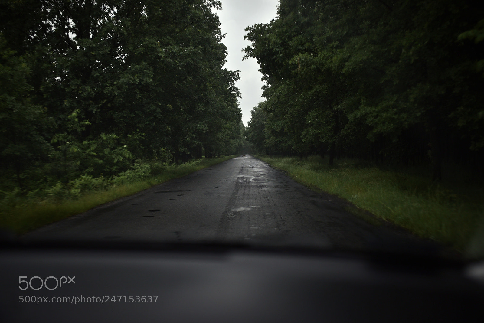 Nikon D750 + Sigma 35mm F1.4 DG HSM Art sample photo. Dsc photography
