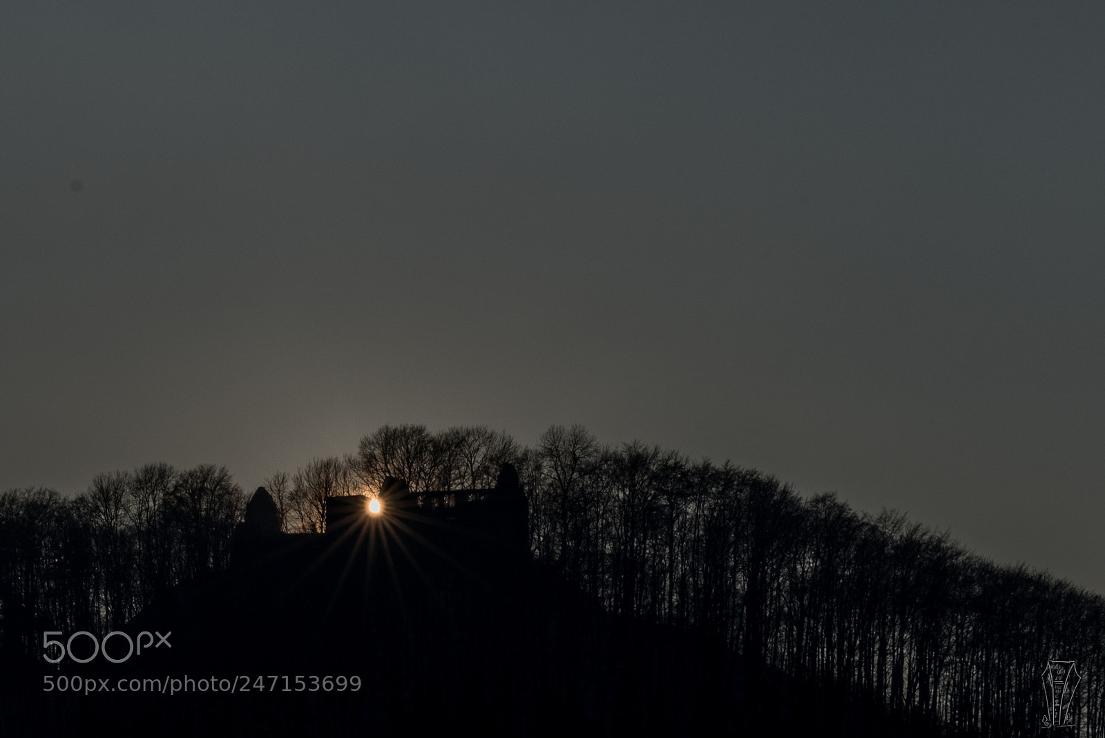 Nikon D810 sample photo. Last rays photography