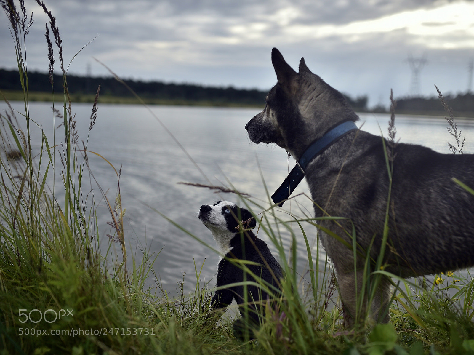 Nikon D750 + Sigma 35mm F1.4 DG HSM Art sample photo. Dsc photography