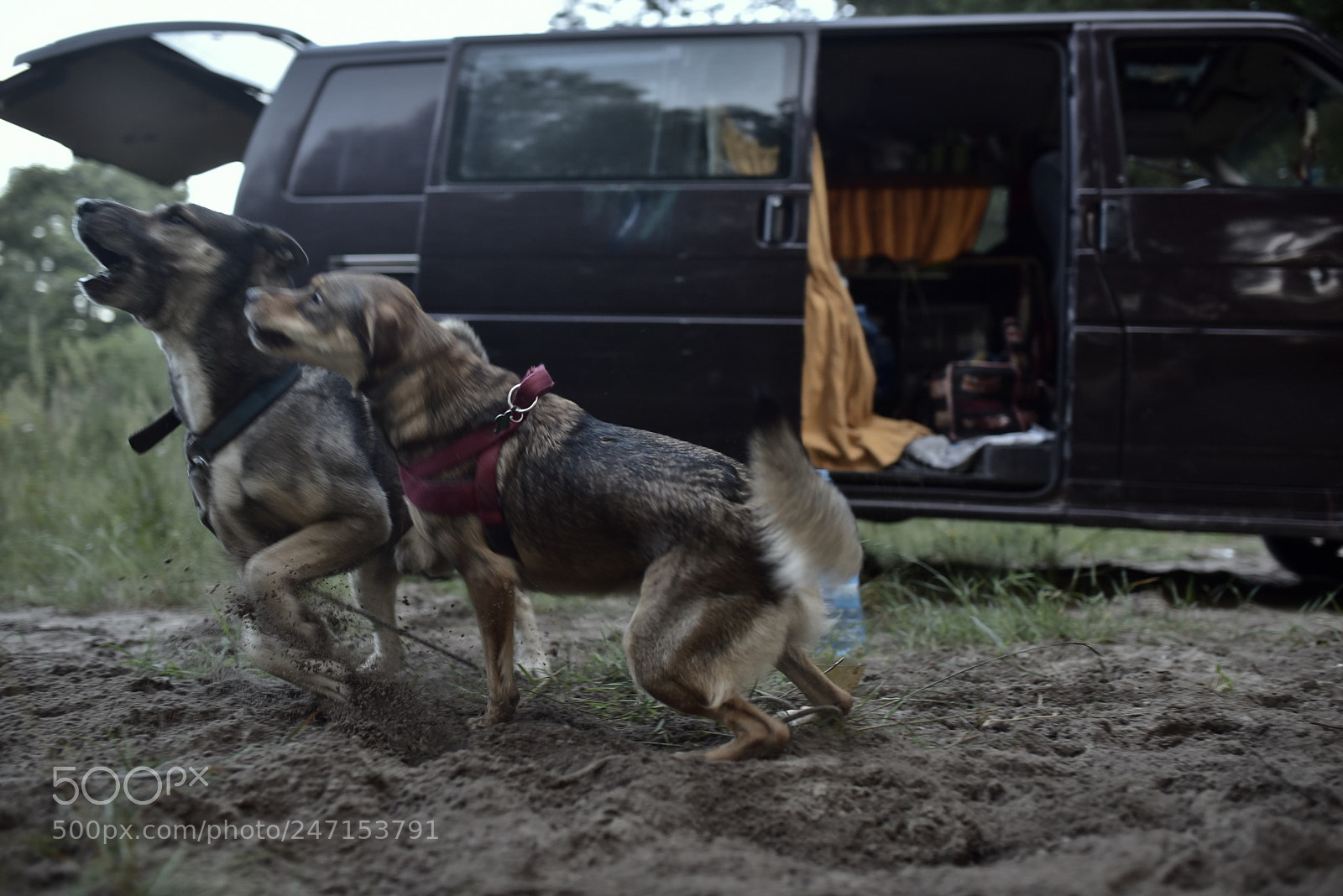 Nikon D750 + Sigma 35mm F1.4 DG HSM Art sample photo. Dsc photography