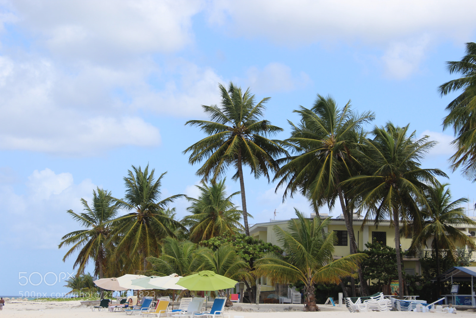Canon EOS 1200D (EOS Rebel T5 / EOS Kiss X70 / EOS Hi) sample photo. Island life photography