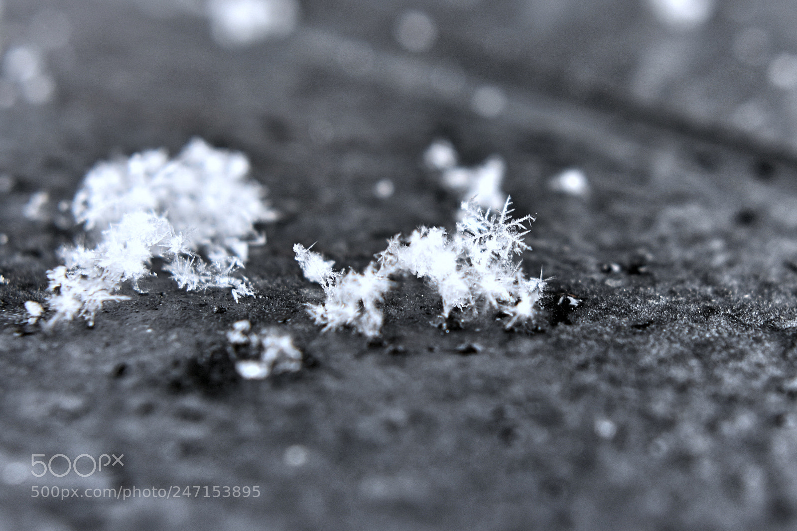 Nikon D3400 sample photo. Snowflake macro photography