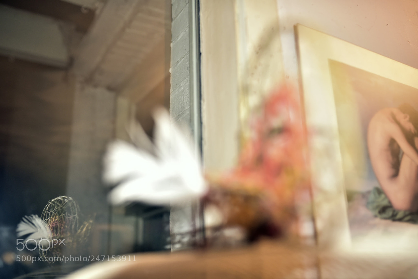 Nikon D750 + Sigma 35mm F1.4 DG HSM Art sample photo. Dsc photography