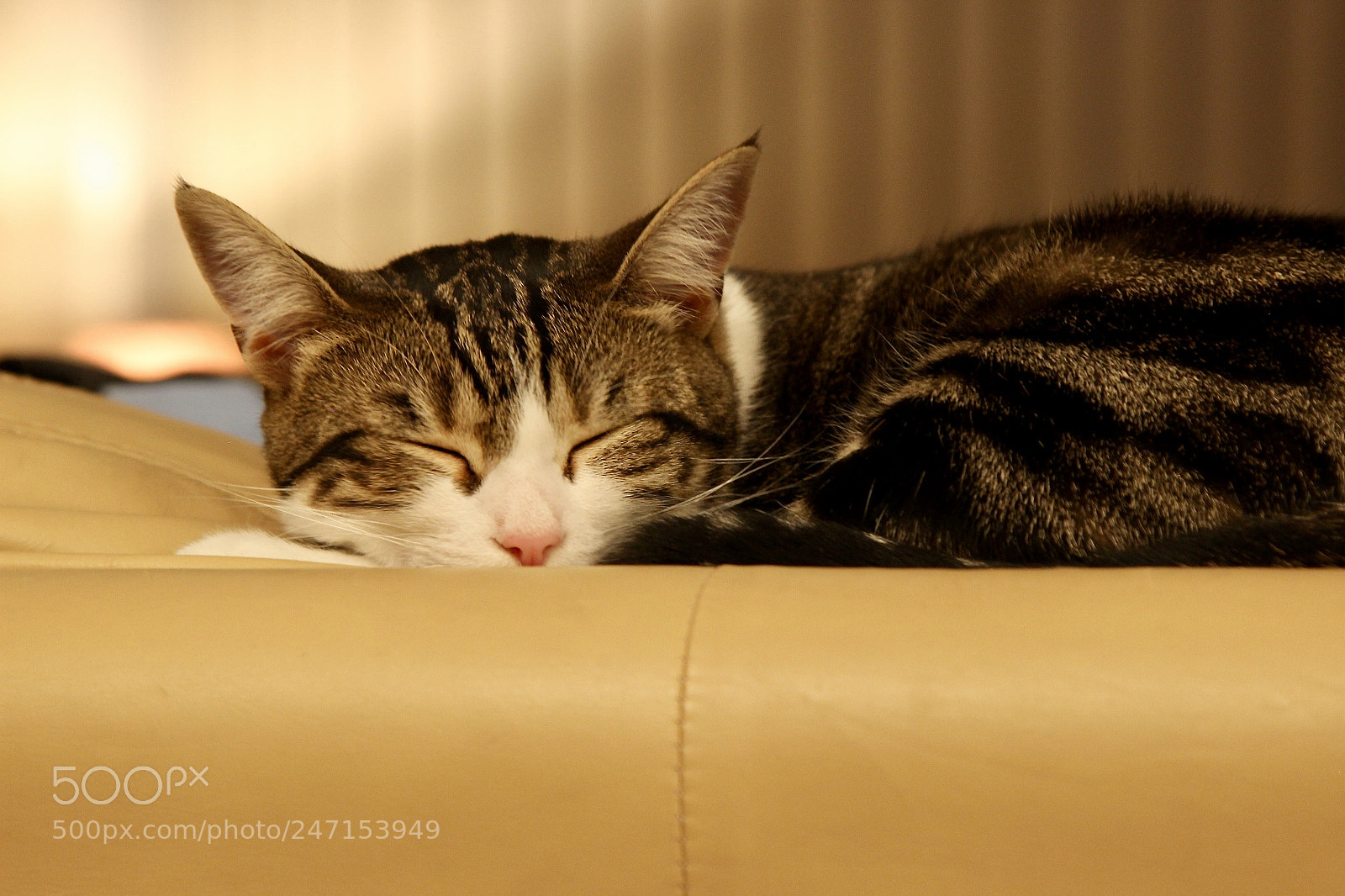 Canon EOS 600D (Rebel EOS T3i / EOS Kiss X5) sample photo. Peaceful photography