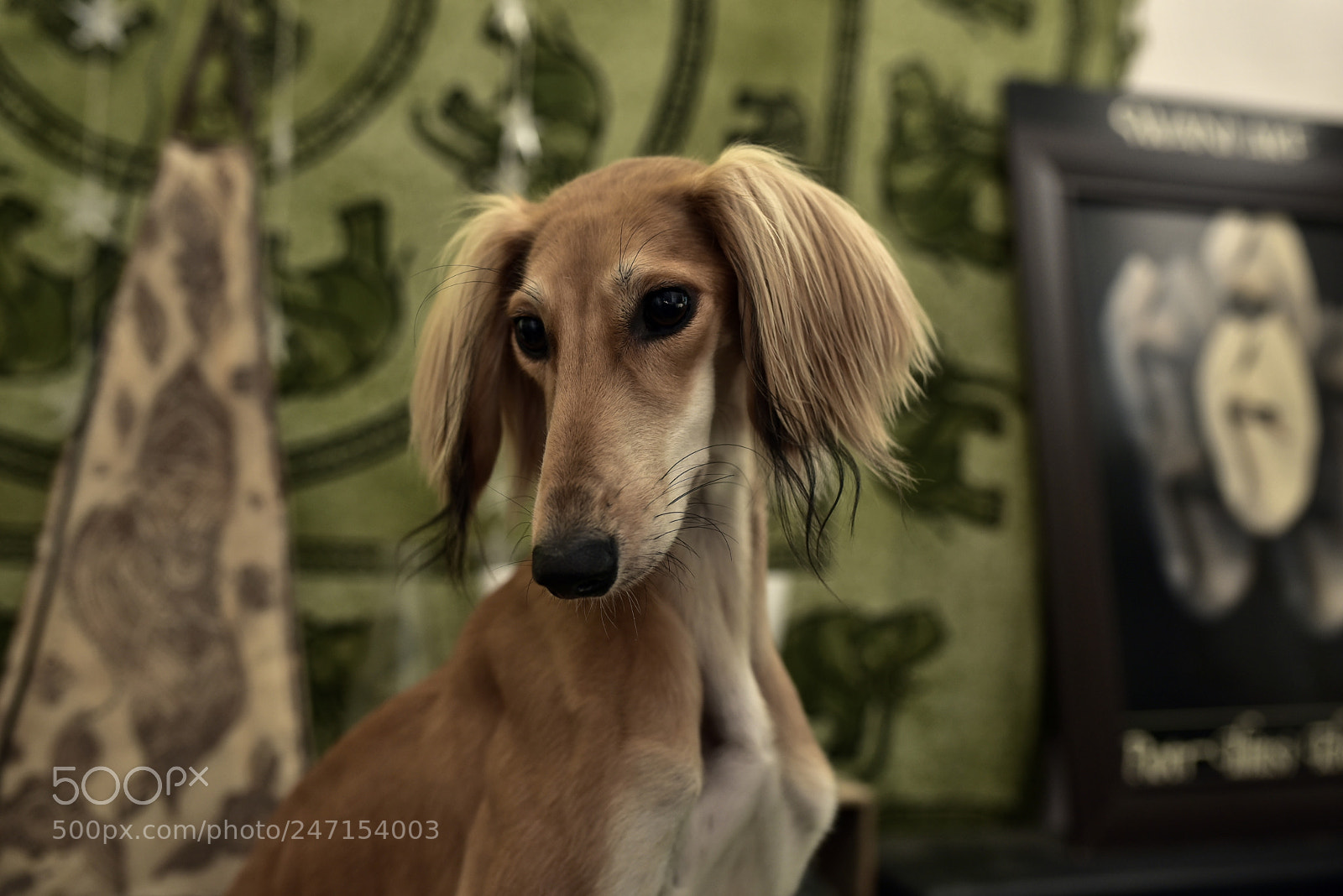 Sigma 35mm F1.4 DG HSM Art sample photo. Dsc photography