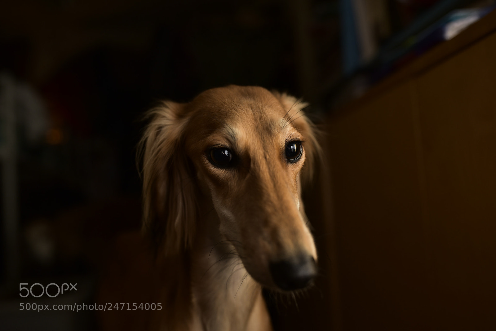 Nikon D750 + Sigma 35mm F1.4 DG HSM Art sample photo. Dsc photography