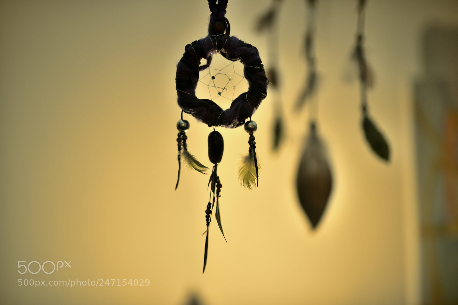Nikon D750 + Sigma 35mm F1.4 DG HSM Art sample photo. Dsc photography