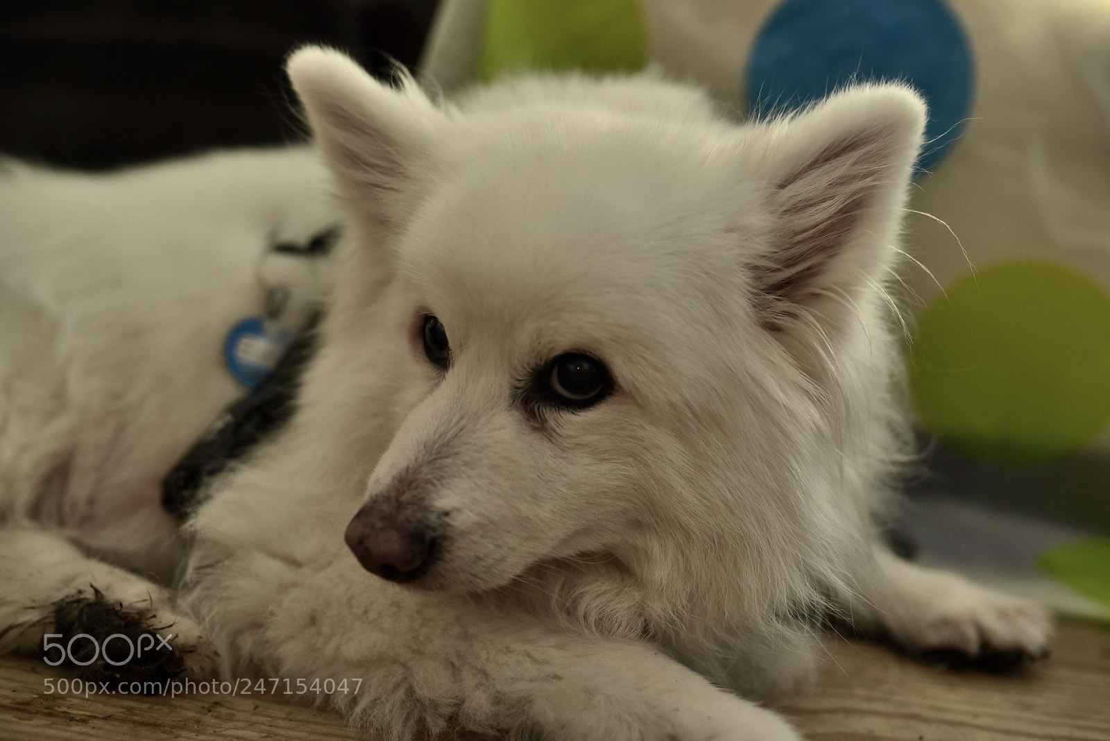 Sigma 35mm F1.4 DG HSM Art sample photo. Dsc photography