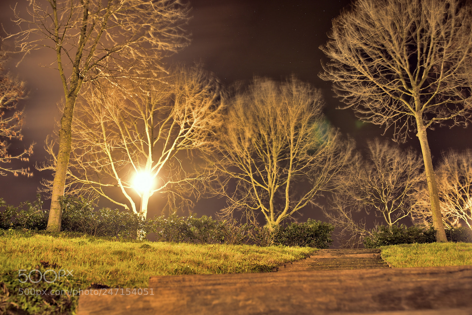 Nikon D750 + Sigma 35mm F1.4 DG HSM Art sample photo. Dsc photography