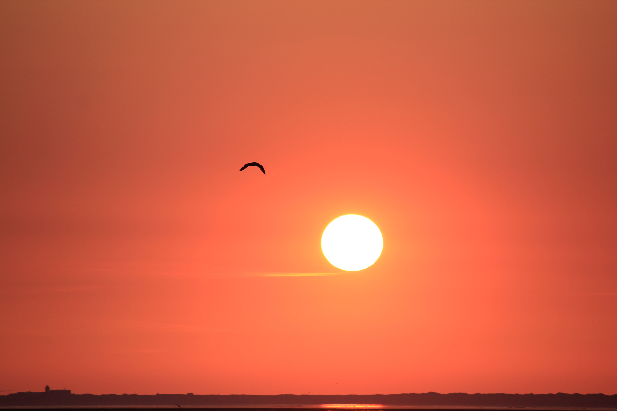 Canon EF-S 55-250mm F4-5.6 IS sample photo. Sunset #3 photography