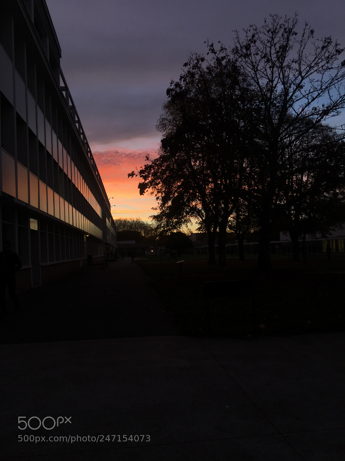 Apple iPhone 6s sample photo. Untitled photography