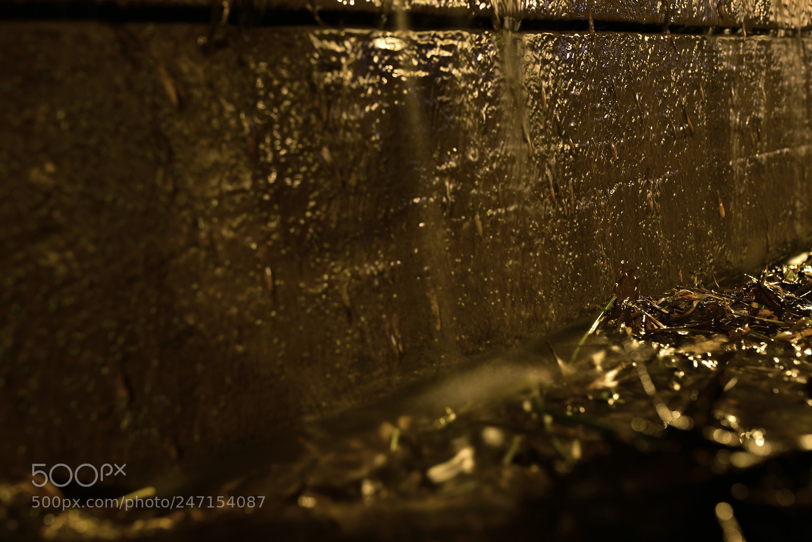 Nikon D750 + Sigma 35mm F1.4 DG HSM Art sample photo. Dsc photography