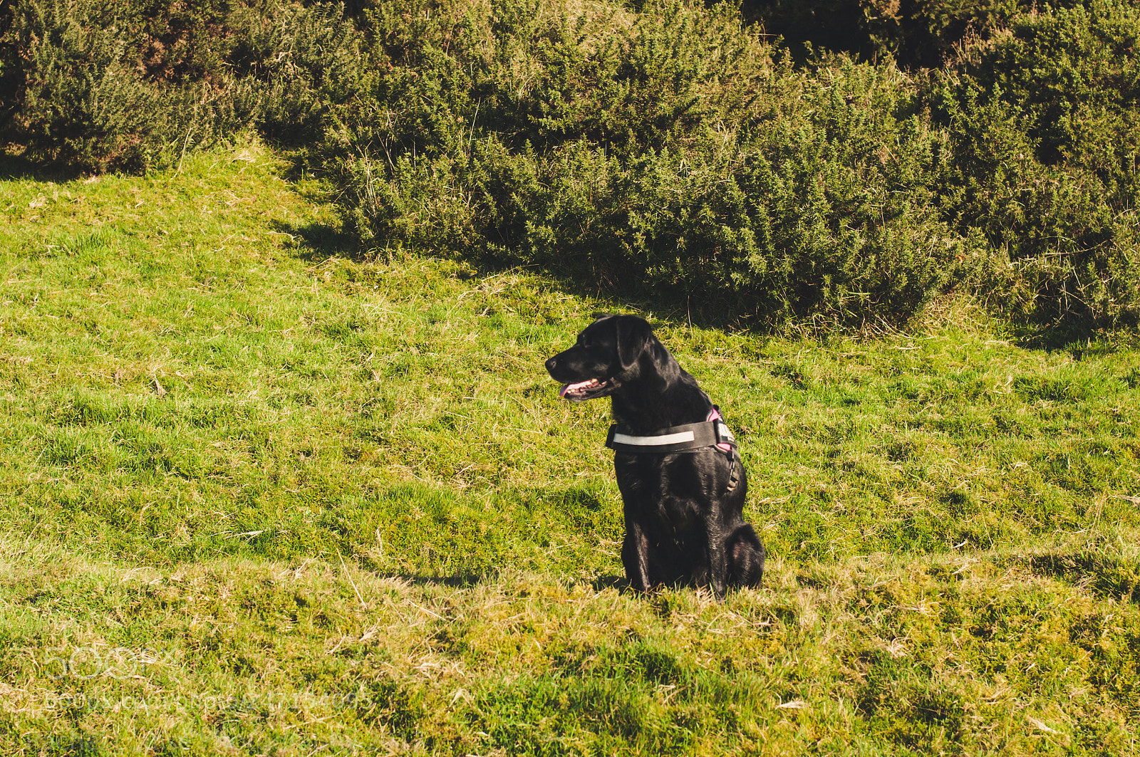 Nikon D300S sample photo. Hiking photography