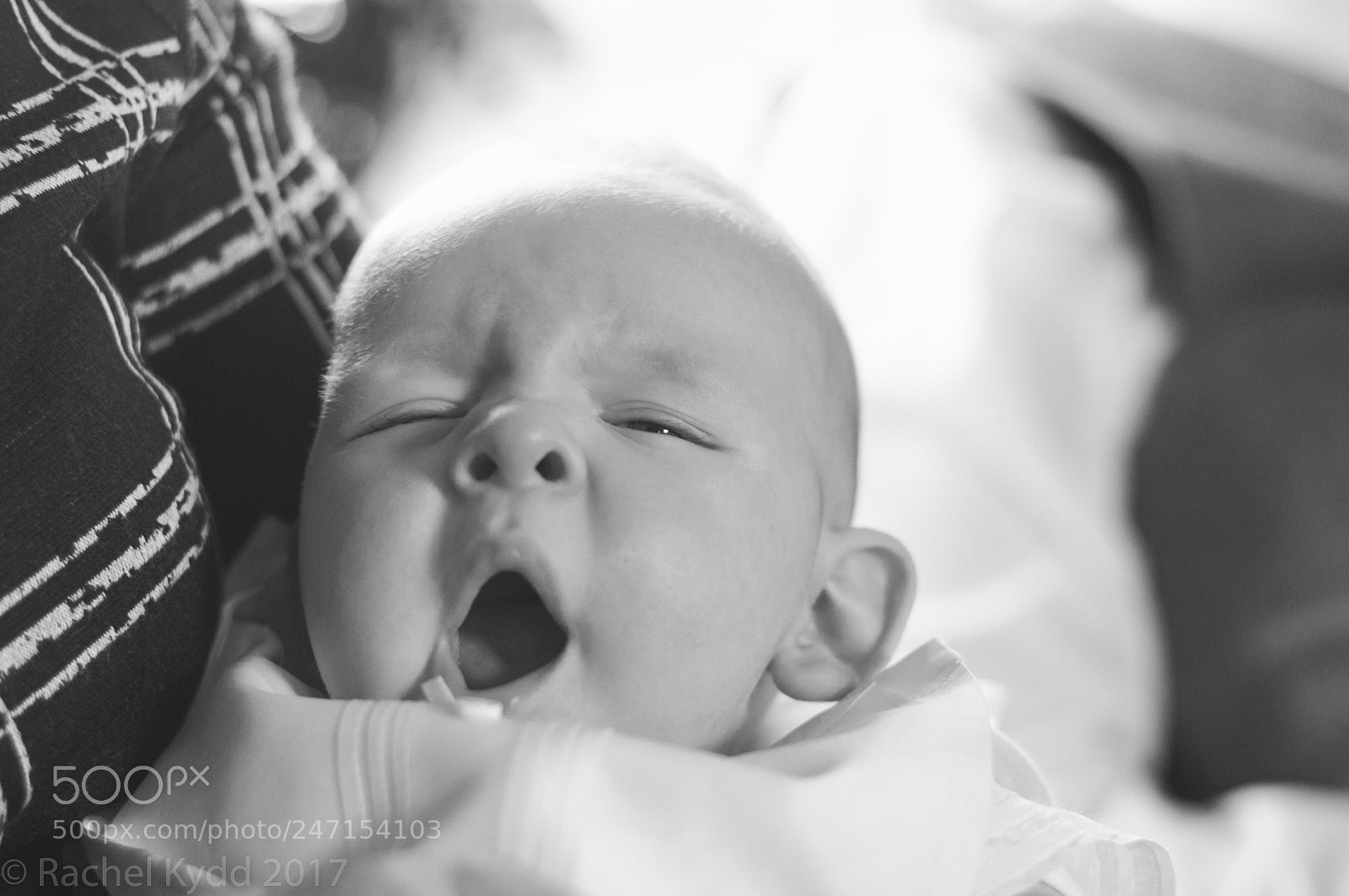Nikon D300S sample photo. Yawn photography