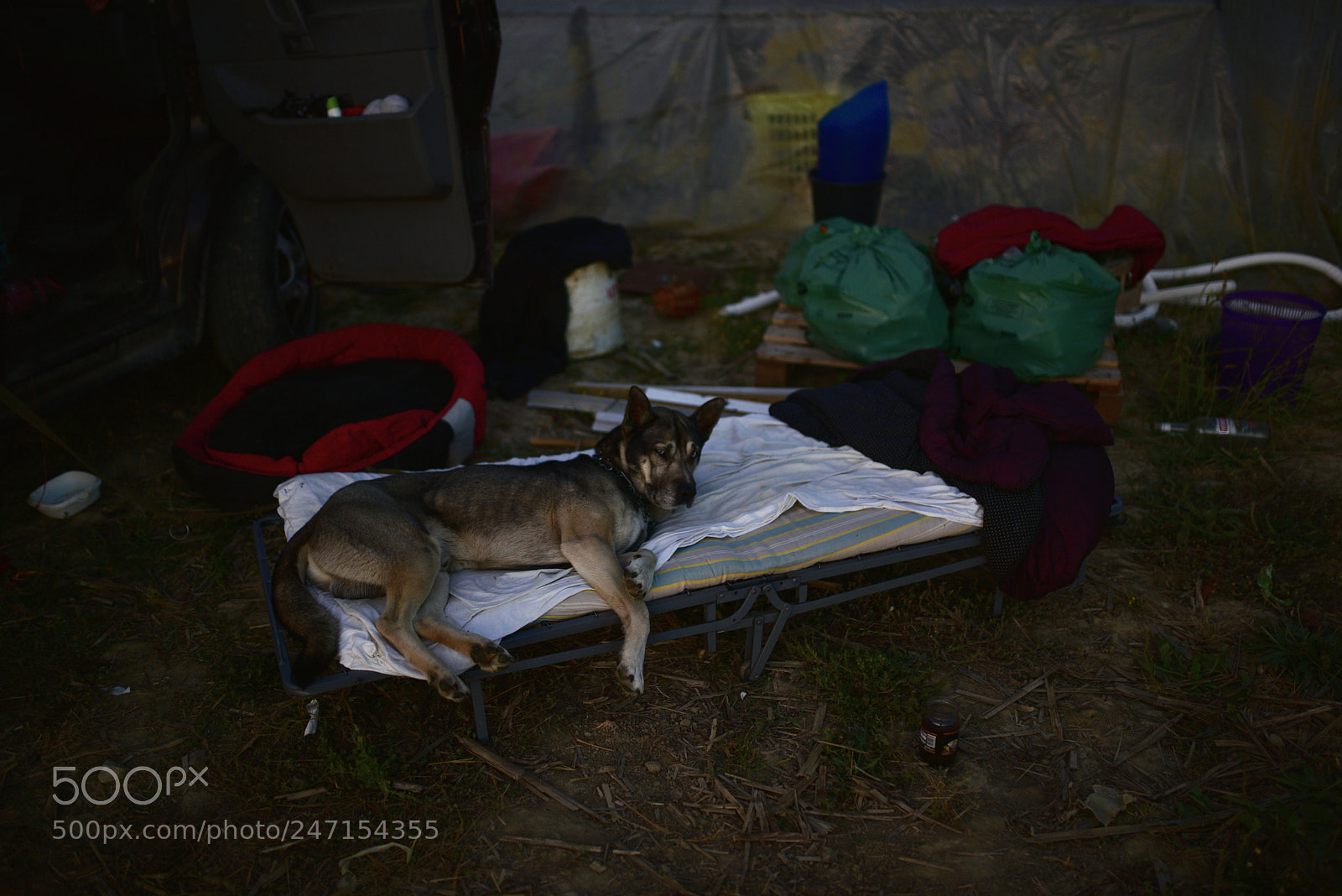Nikon D750 + Sigma 35mm F1.4 DG HSM Art sample photo. Dsc photography