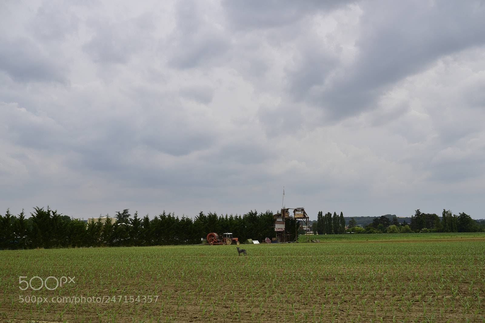 Nikon D750 + Sigma 35mm F1.4 DG HSM Art sample photo. Dsc photography
