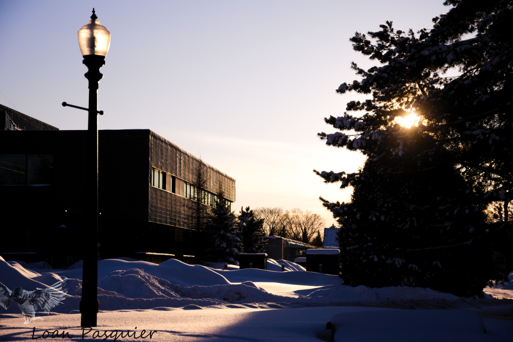 Nikon D7200 sample photo. Silence enneigé photography