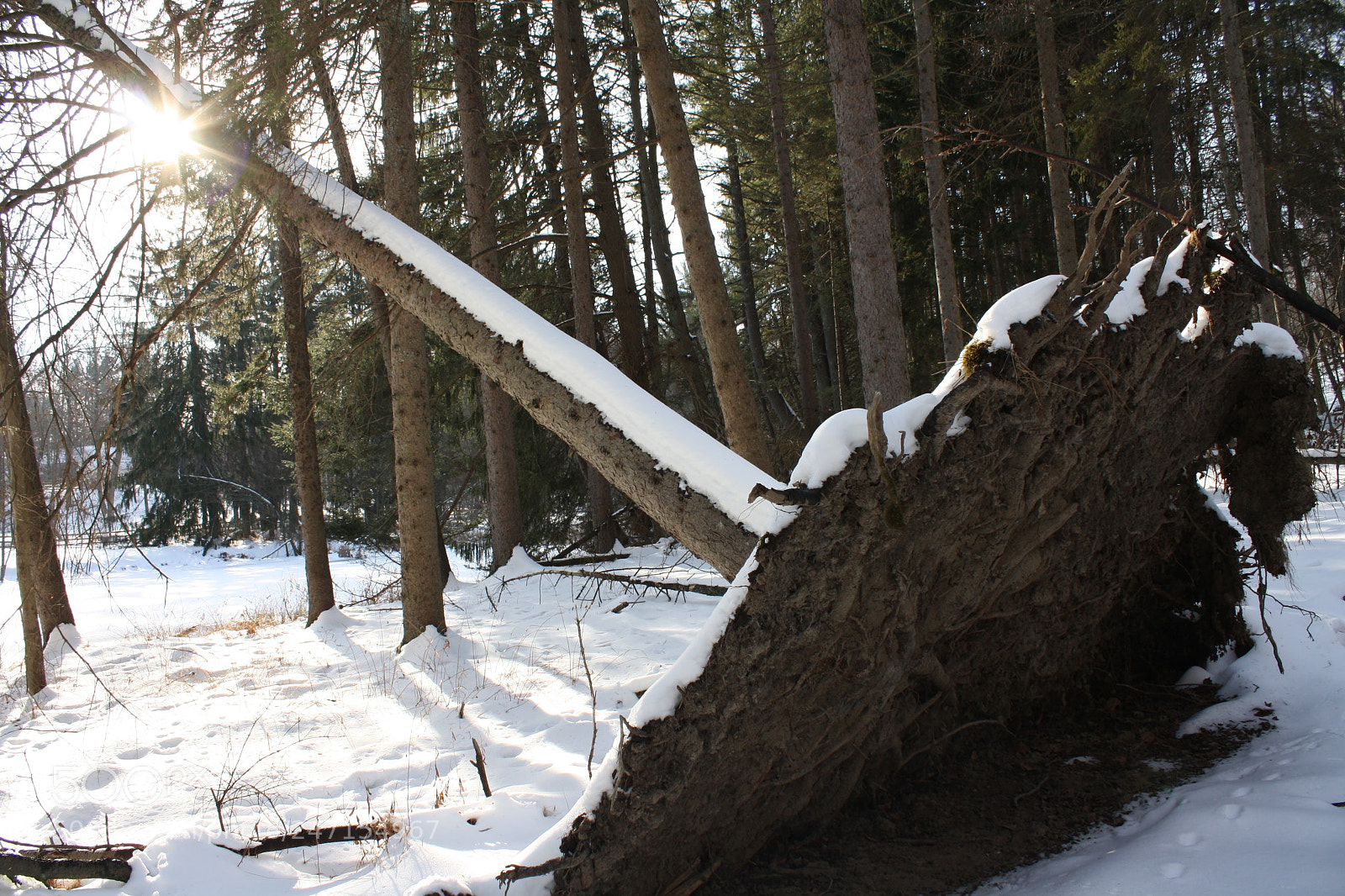 Canon EOS 1000D (EOS Digital Rebel XS / EOS Kiss F) sample photo. Mount kisco, new york photography