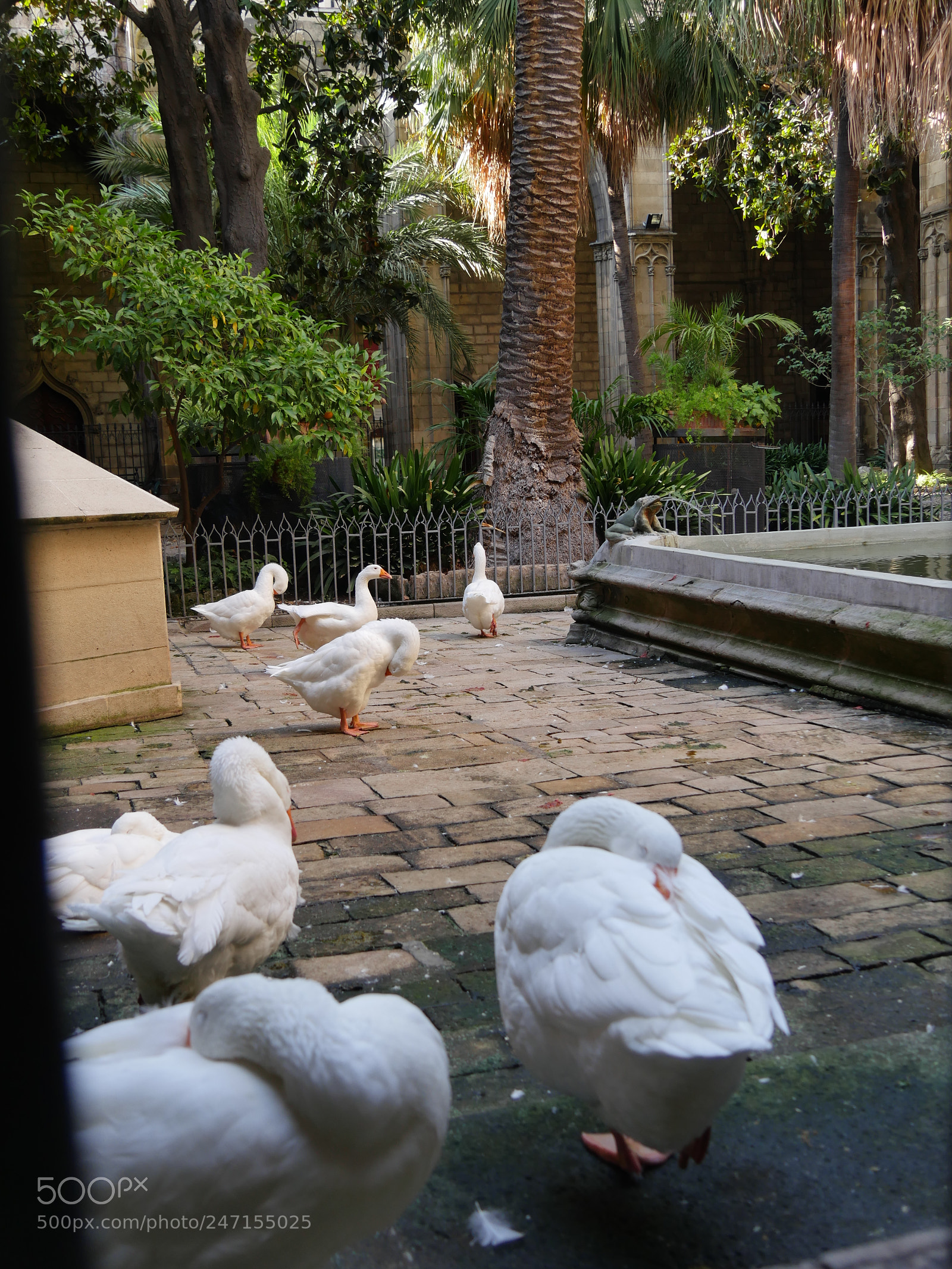 Panasonic Lumix DMC-GX8 sample photo. Barcelona photography