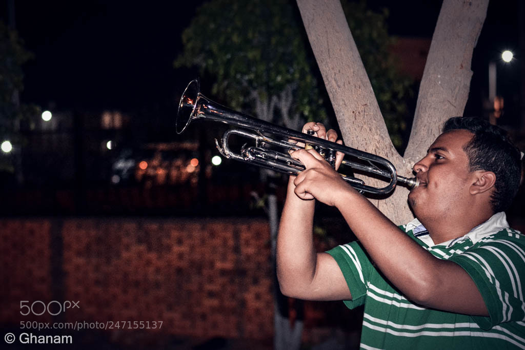 Nikon D5200 sample photo. Trumpet player photography