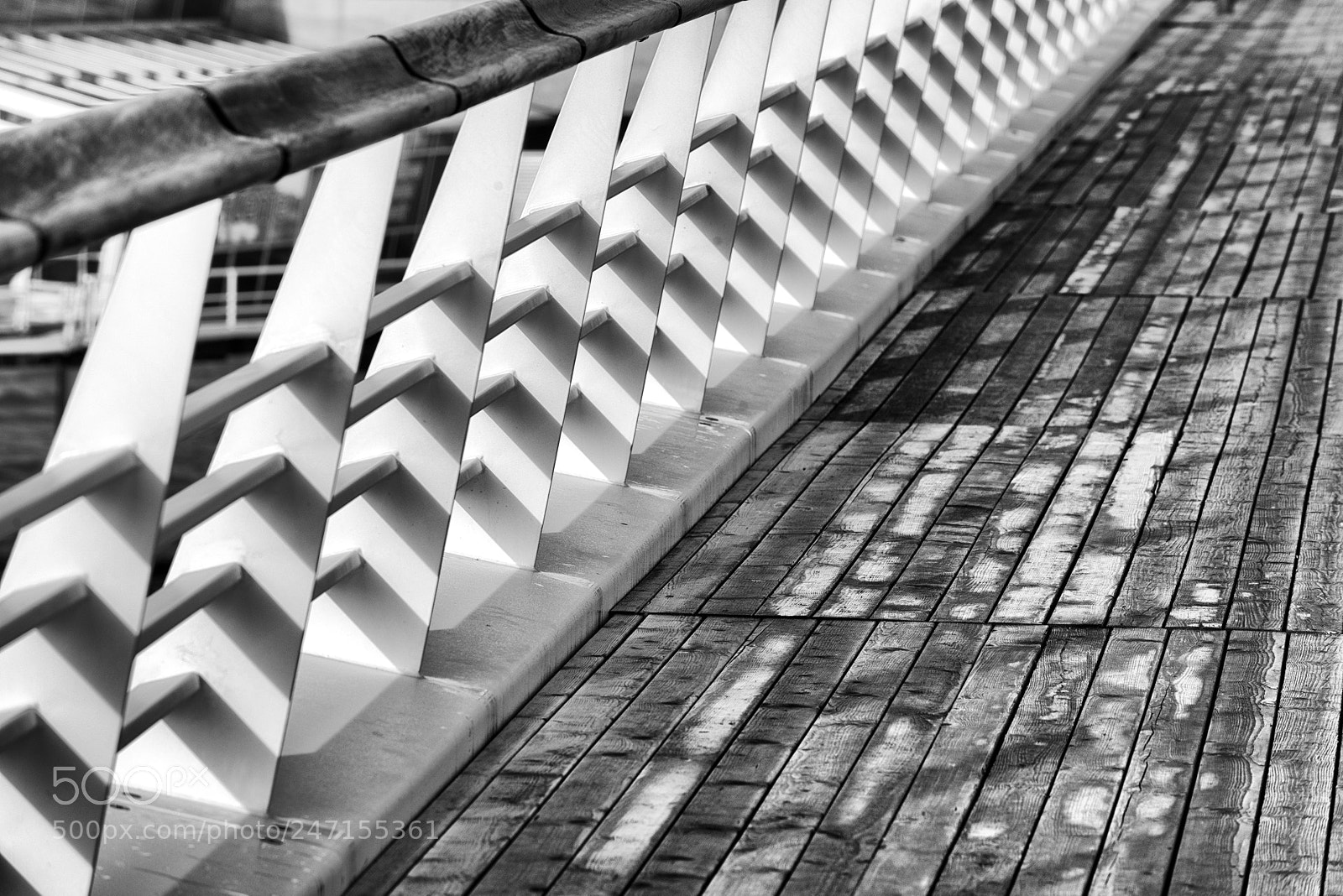 Nikon D800 sample photo. La haye #04 photography