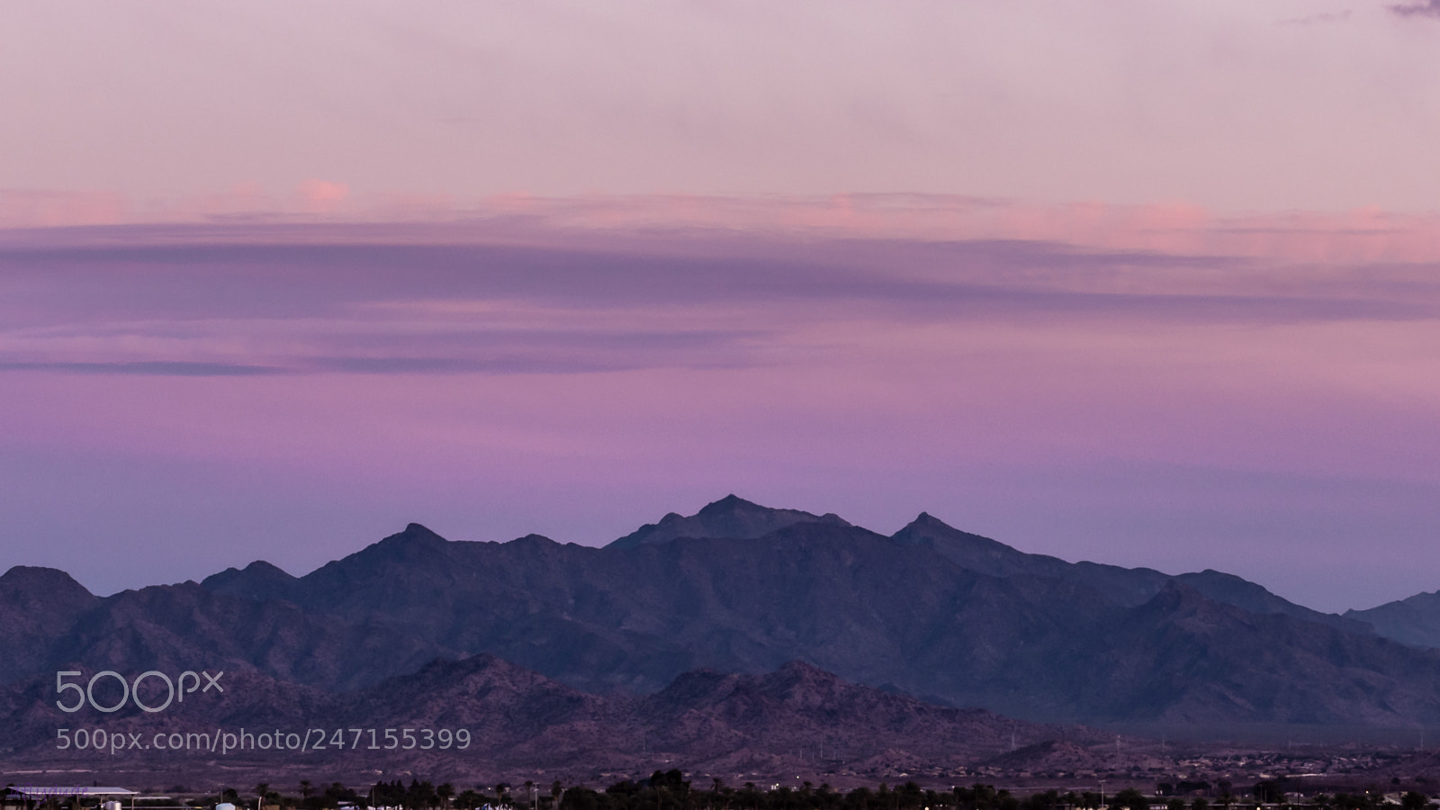 Nikon D5600 sample photo. Purple layers 1404 photography