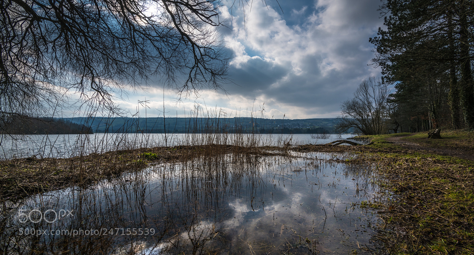 Nikon D850 sample photo. Blagdon lake - reflections photography