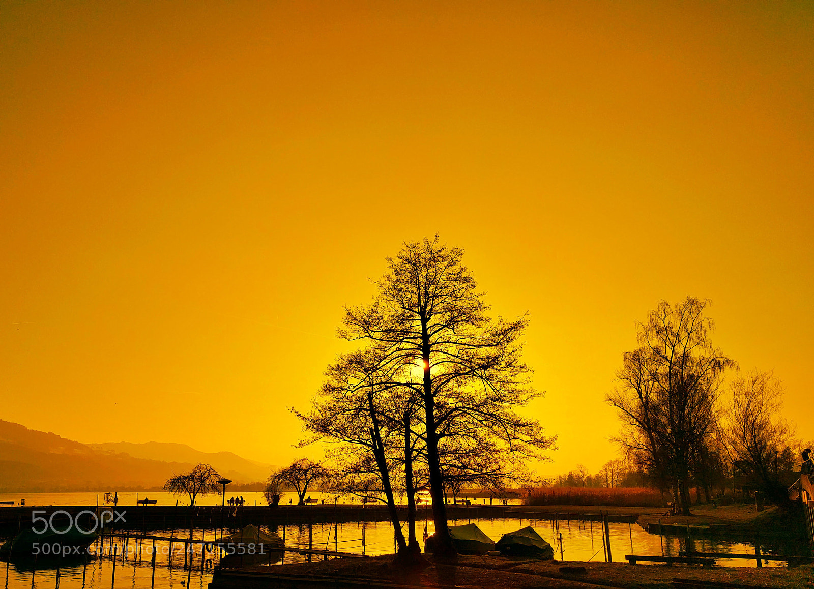 Google Nexus 6P sample photo. Golden afternoons in rapperswil' photography