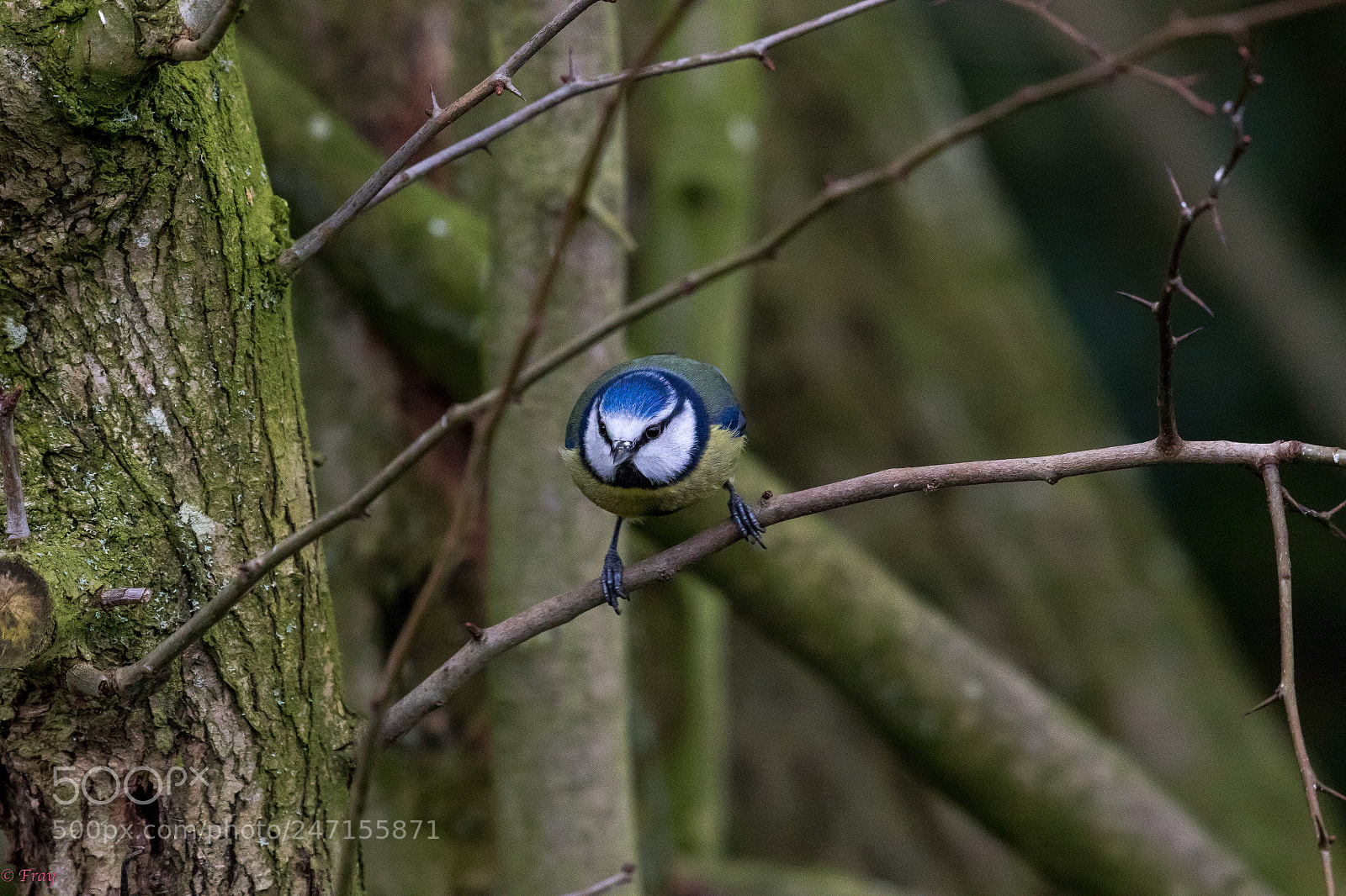 Canon EOS 7D Mark II sample photo. Prepare for take off photography