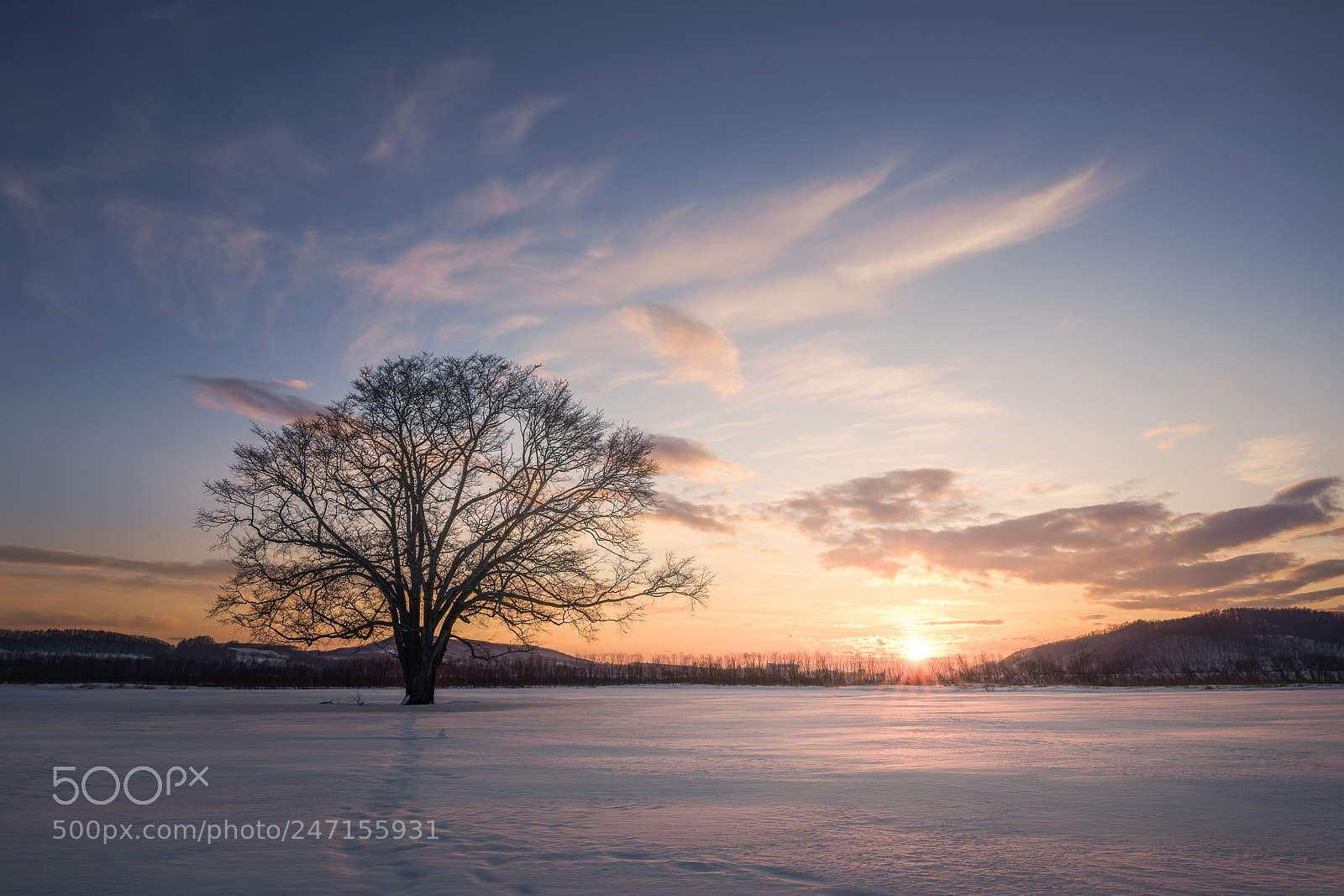 Sony a7R III sample photo. Sunset on the snowy photography