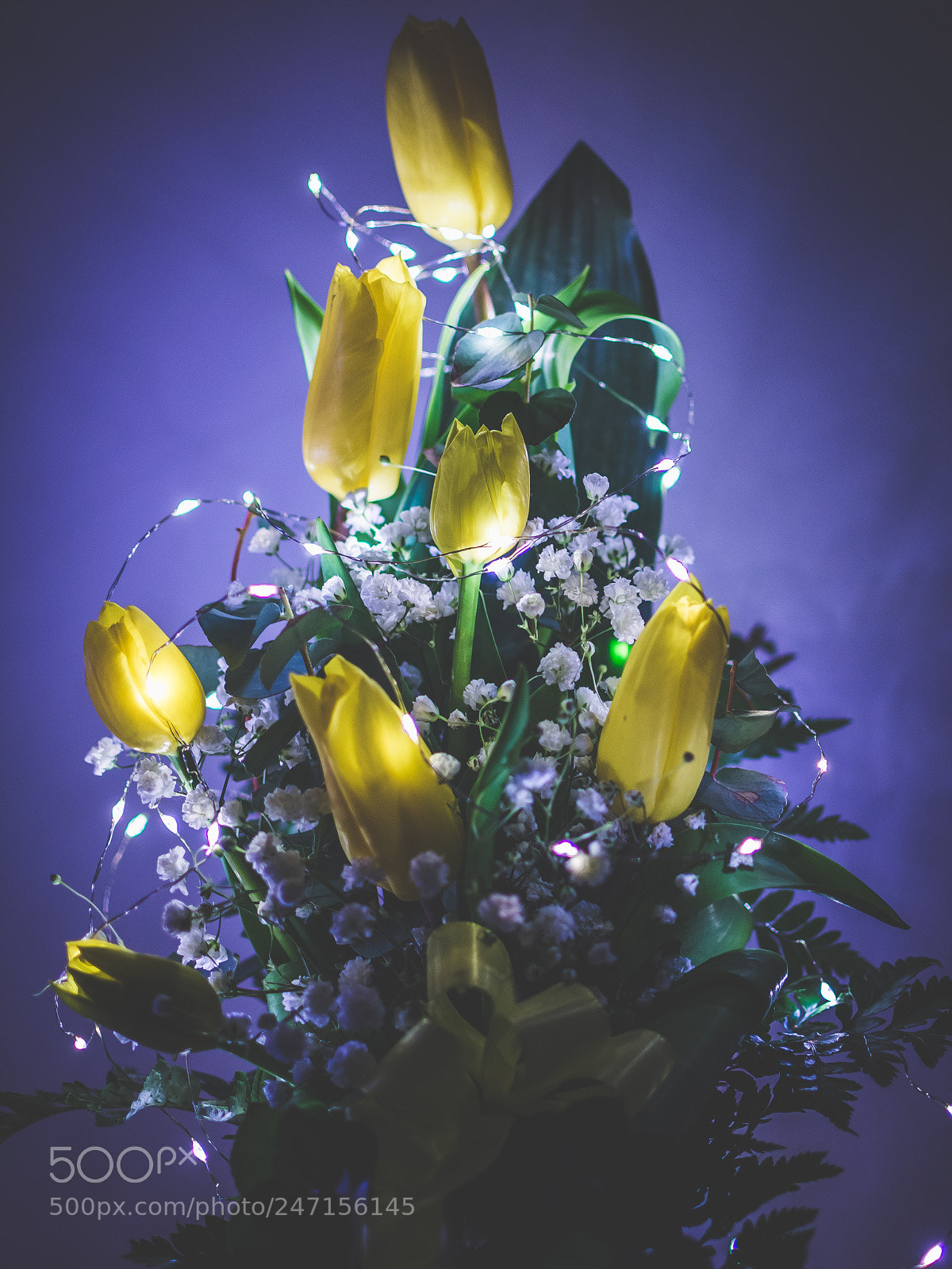 Nikon D7200 sample photo. Celebrating photography