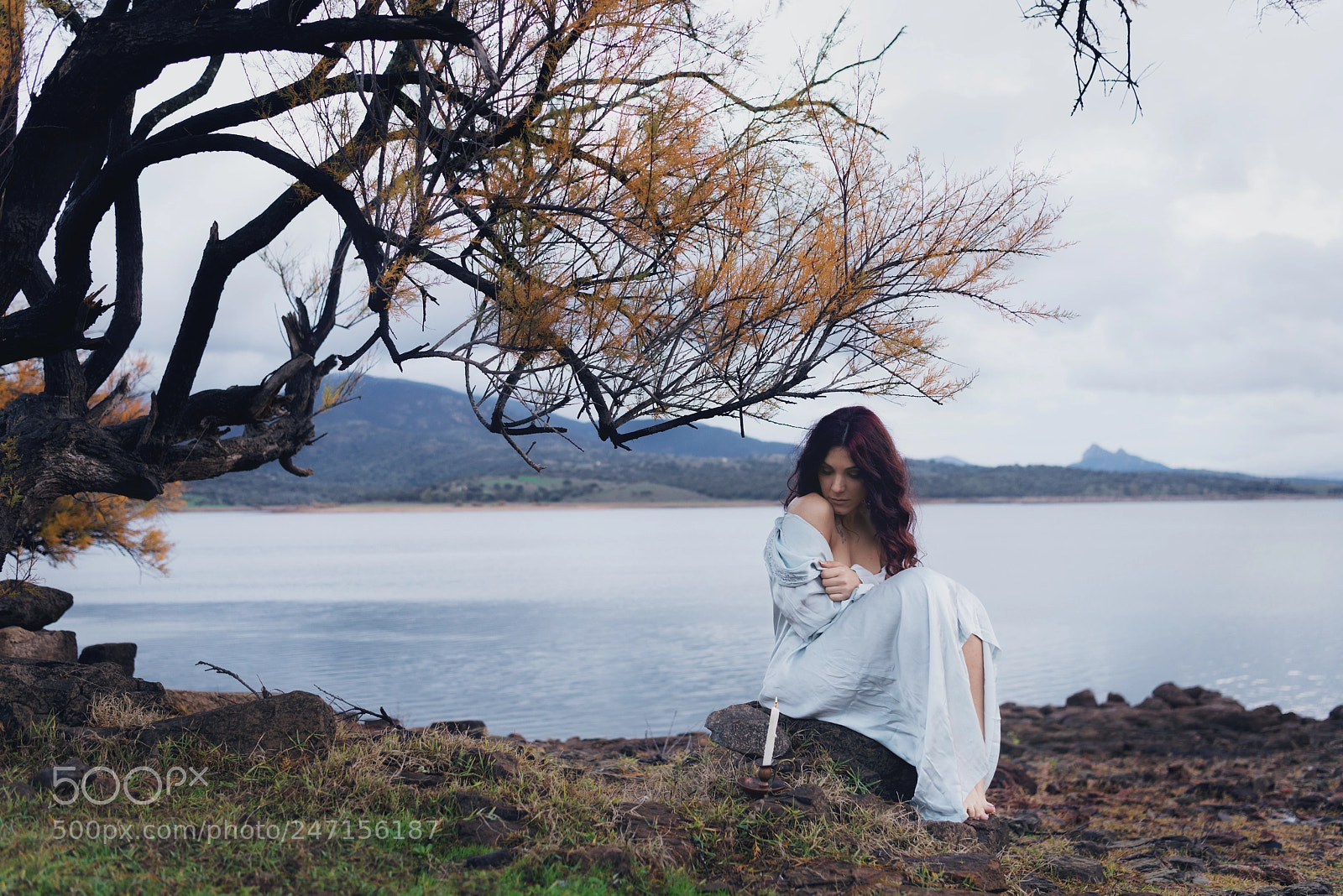 Nikon D800E sample photo. Untitled photography