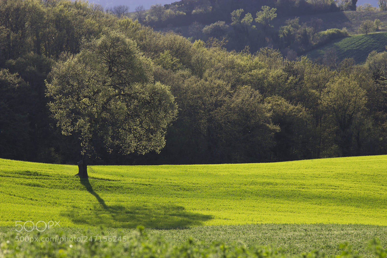 Canon EOS 600D (Rebel EOS T3i / EOS Kiss X5) sample photo. Ideal landscape.jpg photography