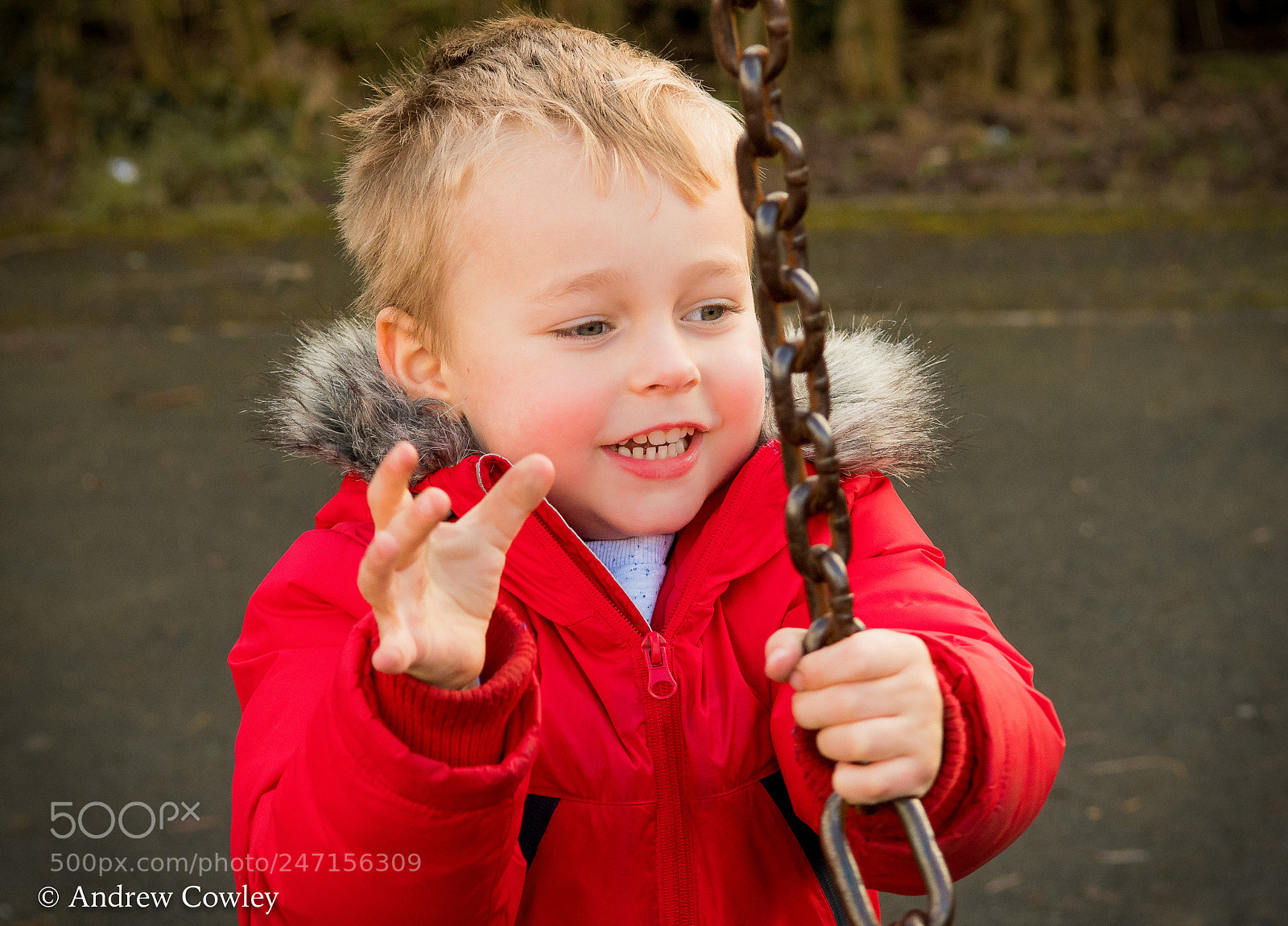 Nikon D500 sample photo. Untitled photography