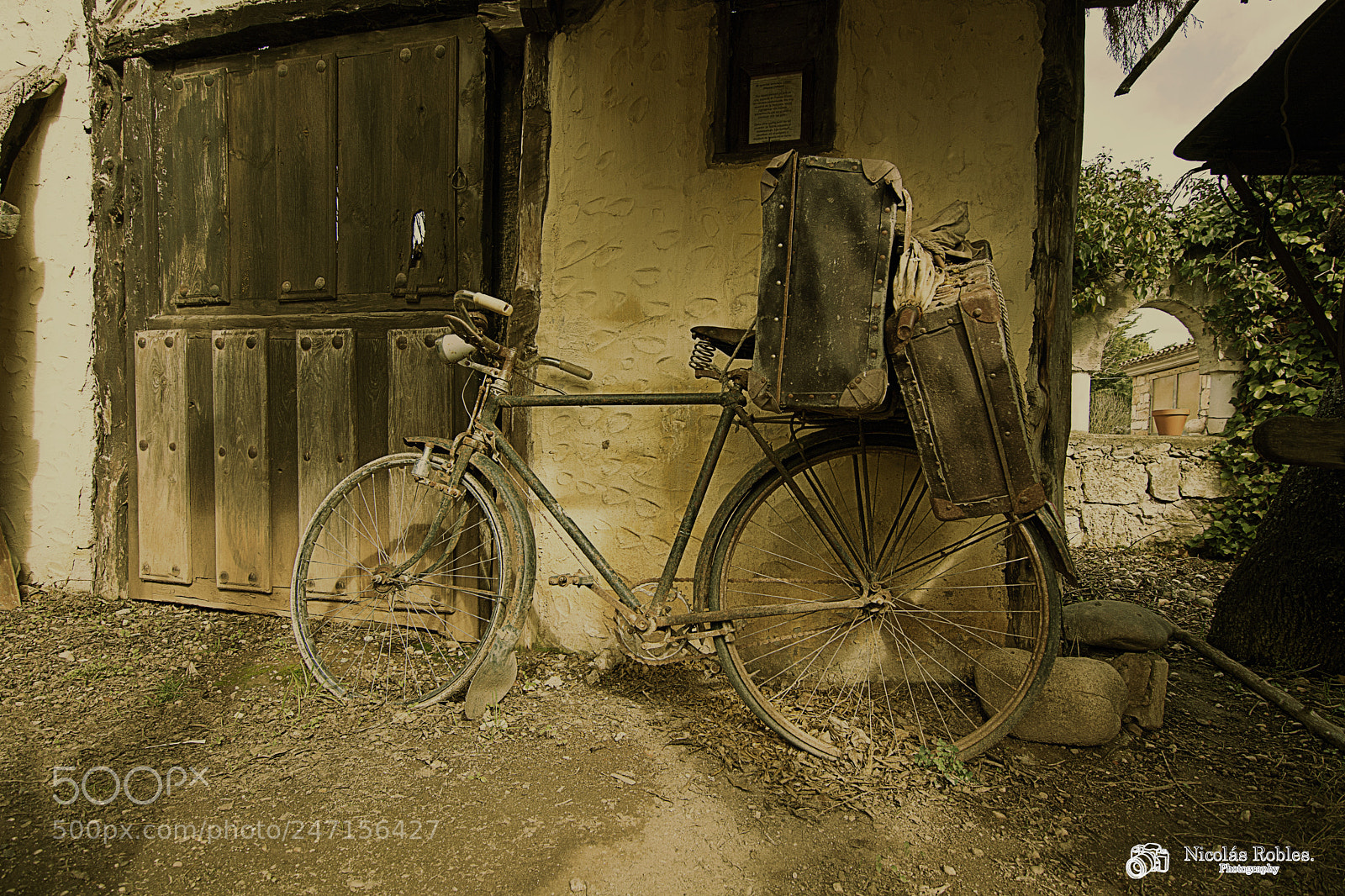 Nikon D7100 sample photo. The last trip photography